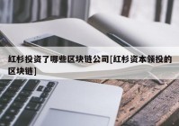 红杉投资了哪些区块链公司[红杉资本领投的区块链]