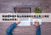 杨浦区块链开发公司有哪些公司上市[上海区块链软件开发]